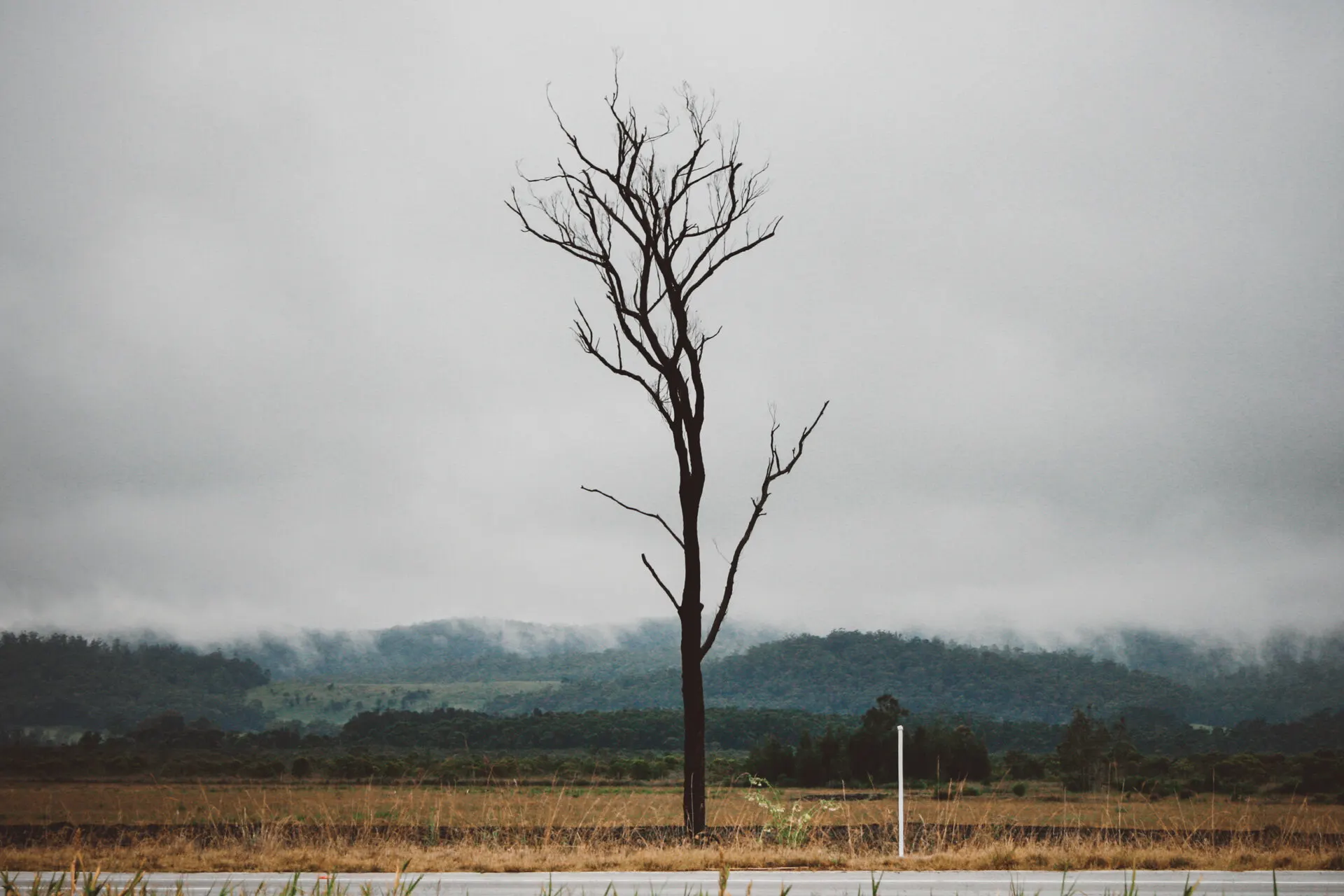 Enviroment 11 — Personal photo by Juliana Oh