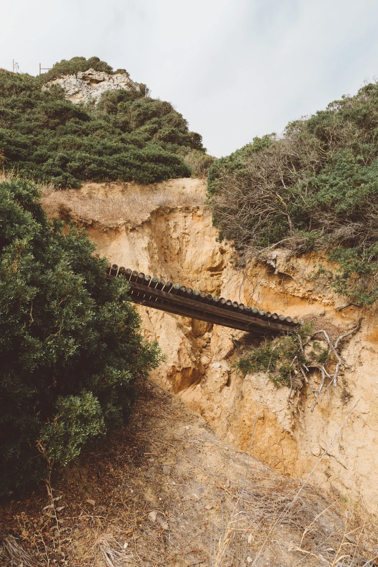 Enviroment 7 — Personal photo by Juliana Oh