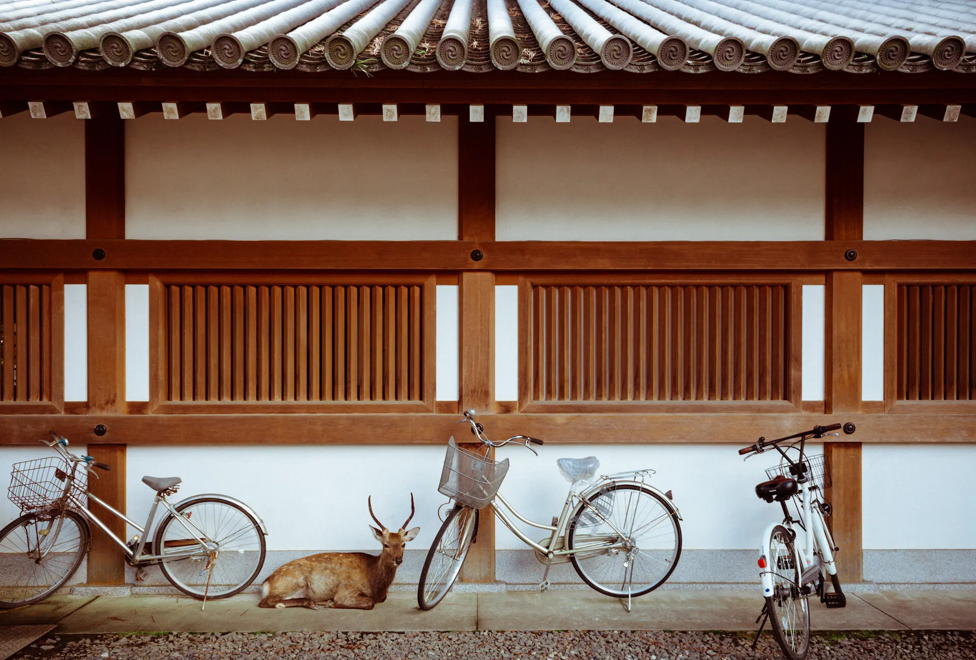 Travel 12 — Personal photo by Juliana Oh